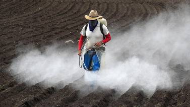 Costa Rica sin control sobre plaguicidas: contaminación de agua y muerte de abejas lo evidencian