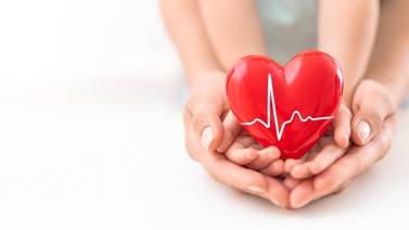 Día Mundial del Corazón: seis consejos para cuidar este importante órgano