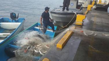 Guardacostas frenan pesca ilegal en el golfo de Nicoya