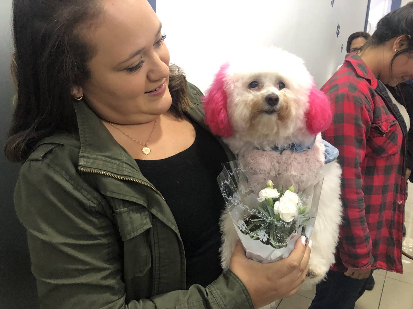 Milly fue llevada por su dueña a la vela de su amiga. Ellas llevaron flores como muestra de respeto y solidaridad. Foto: Fernanda Matarrita