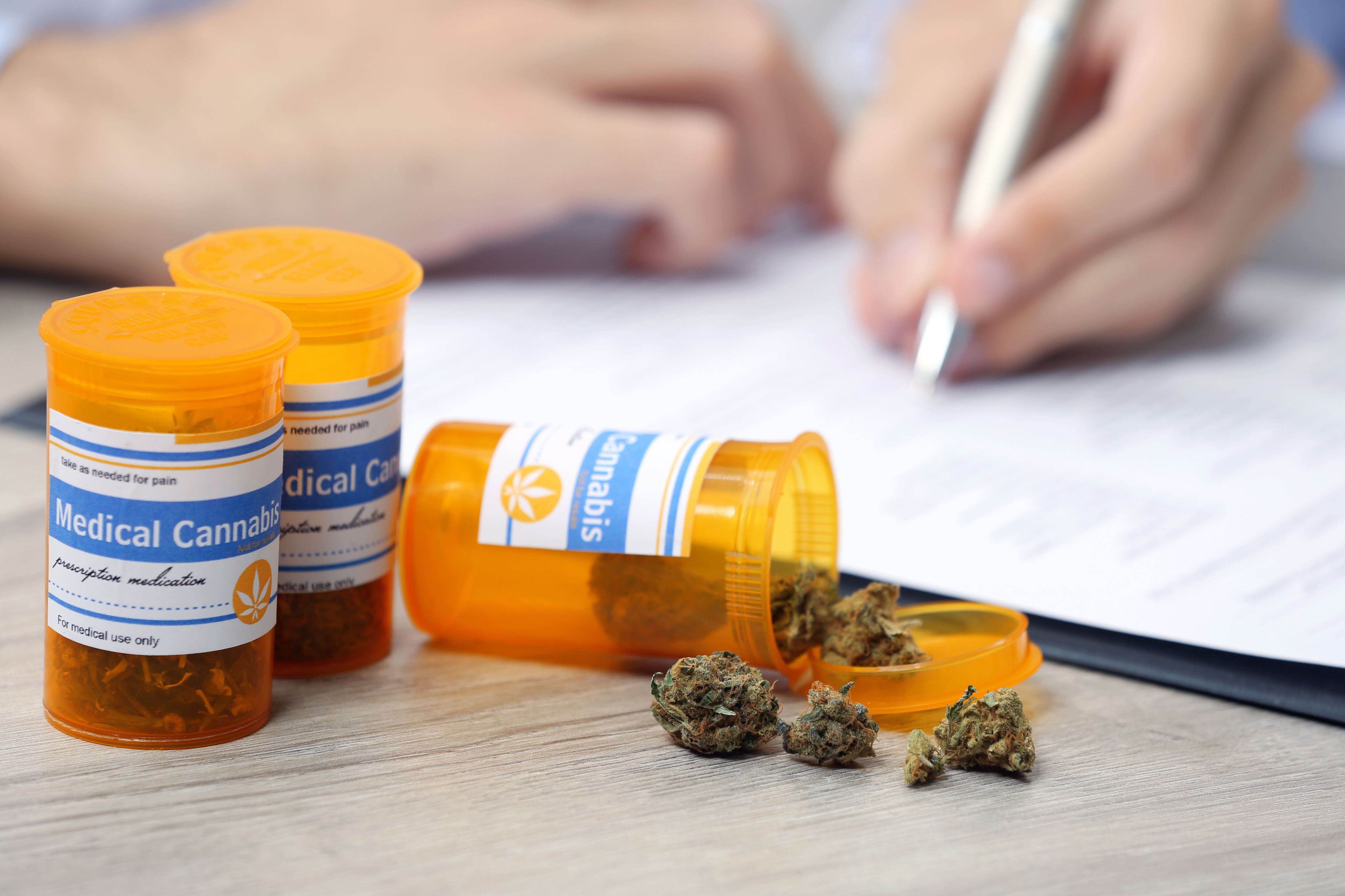 Proyecto habilitaría nuevas licencias para venta de cannabis medicinal 