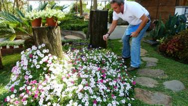 Festival de las Flores inicia este miércoles en el Jardín Botánico Else Kientzler