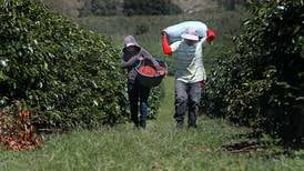 Costa Rica deja atrás el periodo fiscal marcado por las cosechas del café