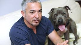  Gracias a sus perros,    <b>César Millán no se suicidó</b> 