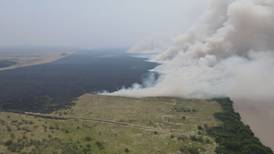 Incendio en Parque Nacional Palo Verde se expande a 3.000 hectáreas