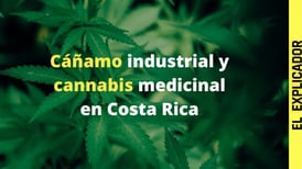 Todo sobre el proyecto de ley del cáñamo industrial y el cannabis medicinal en Costa Rica