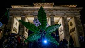 Alemania legaliza consumo recreativo de cannabis: a partir del mes de julio, la compra será legal