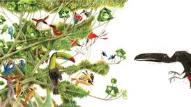 Libro ‘El tucán y el arcoiris’: un viaje de colores en el bosque tropical