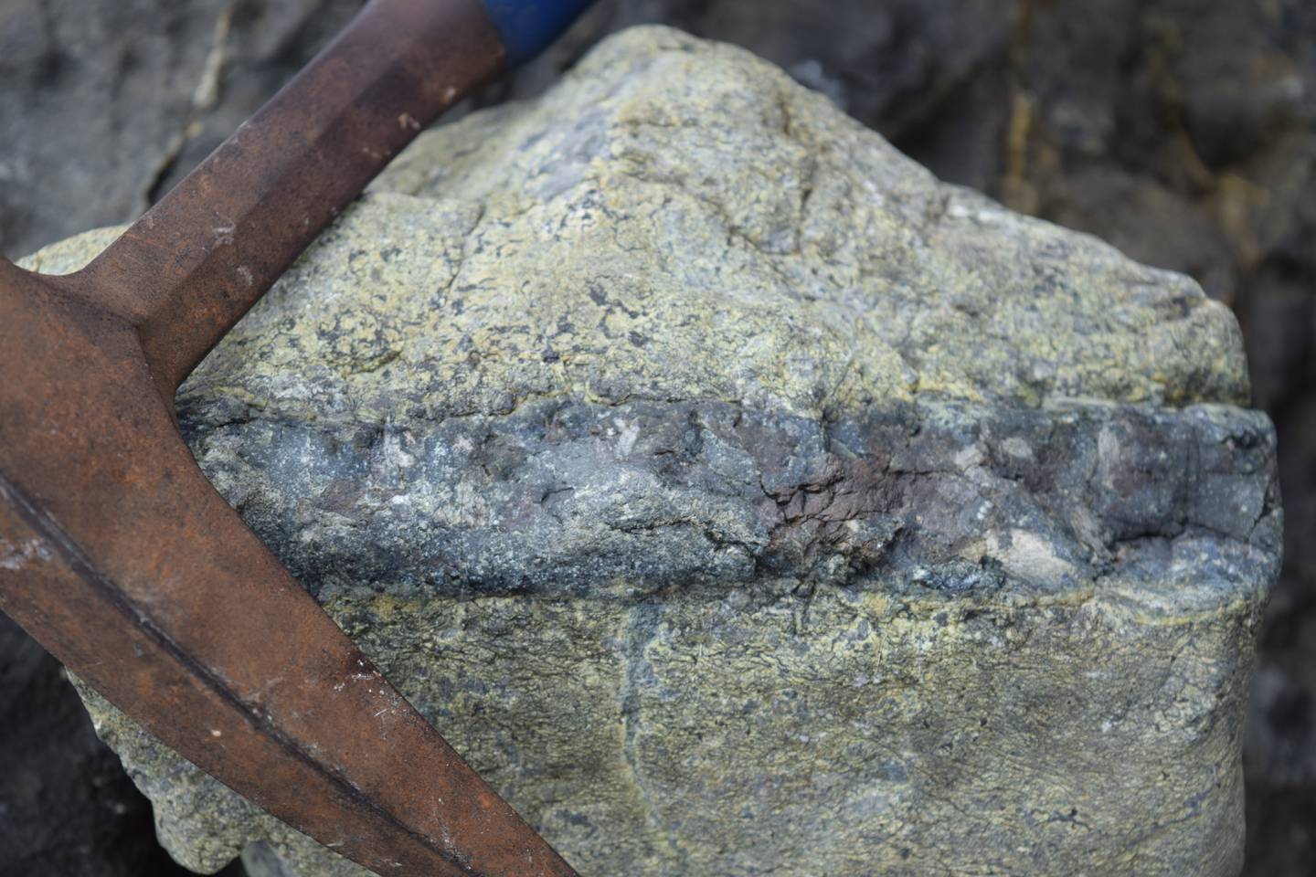 Esta roca ígnea, constituida por minerales ricos en hierro y magnesio, la cual tende a ser de color verdoso, se formó en el manto de la Tierra y es parte de las que existen en nuestro Pacífico norte. Foto: Percy Denyer.