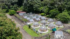 Smithsonian estudia en Panamá efectos del cambio climático en bosques tropicales