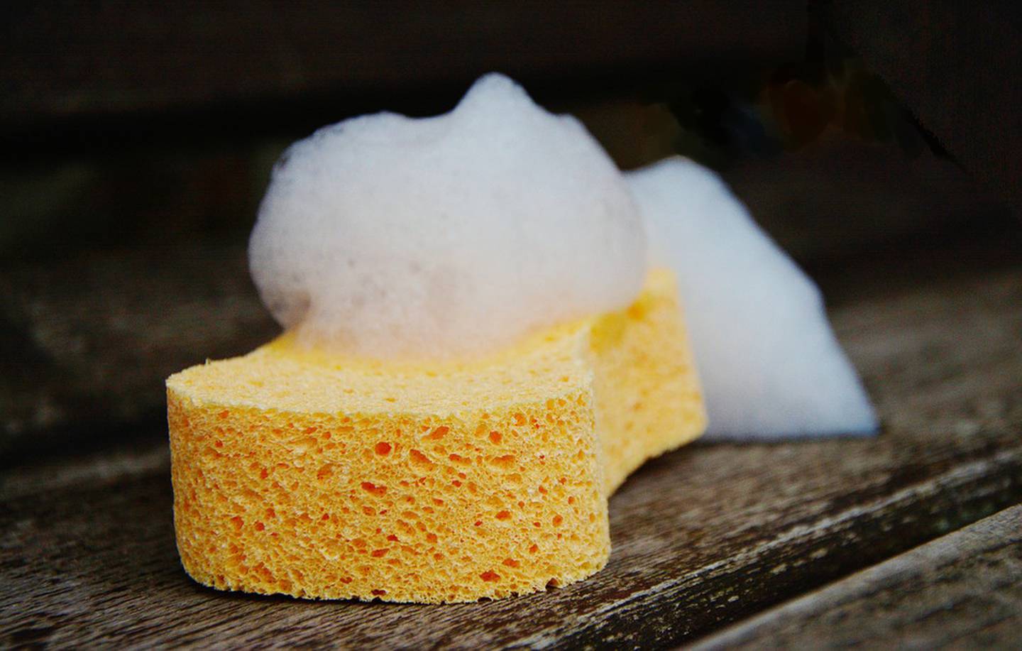 TERROR AL FREGAR!: Las esponjas de cocina son un criadero de bacteria –  Chef James