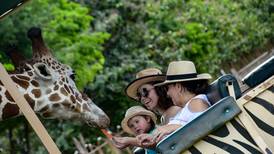 Sinac da ultimátum a Parque Ponderosa por reproducir animales, dejar a visitantes alimentarlos y hacer ‘selfies’