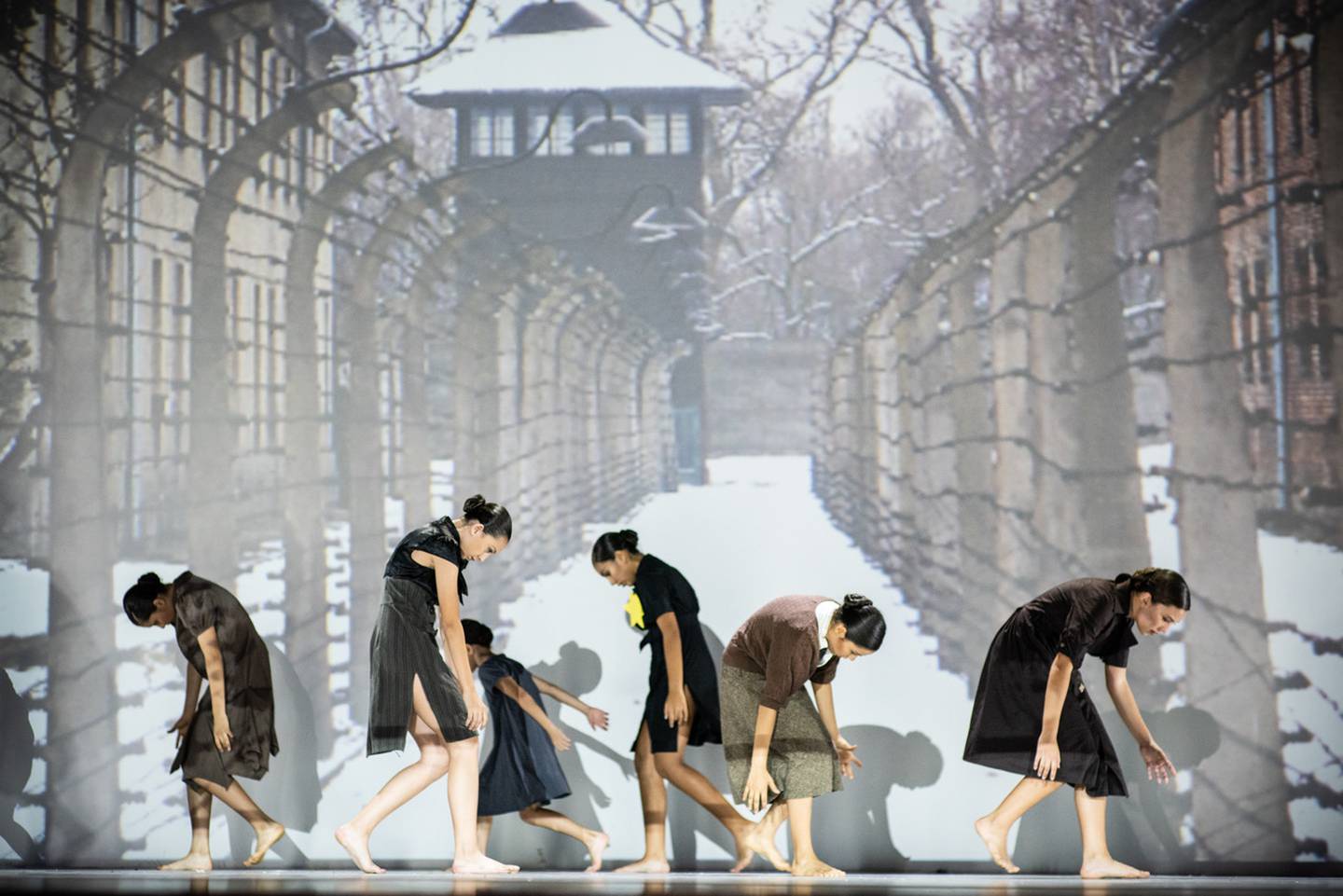 Espectáculo 'La bailarina de Auschwitz' recordará el desgarro del  holocausto con dolorosas danzas