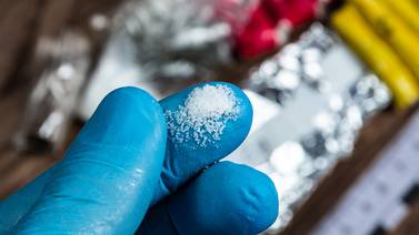 Empresa canadiense obtiene licencia para producir y vender cocaína