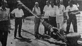 Hoy hace 50 años: Diputados inspeccionaban remodelación del muelle de Puntarenas