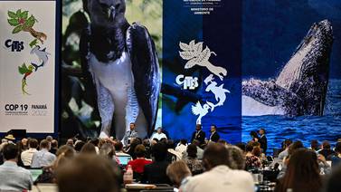 Cumbre de especies amenazadas comienza en Panamá con llamado a combatir tráfico 