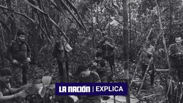 Niños perdidos en selva colombiana: ¿Qué sucederá en el futuro con ellos? 