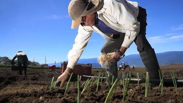 Agricultura de Centroamérica figura  entre las más afectadas por escasez de lluvias