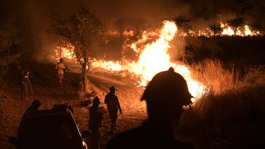 Incendios arrasan humedal argentino de Iberá y causan daños incalculables