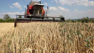 Unión Europea propone castigar los granos rusos con aranceles ‘prohibitivos’