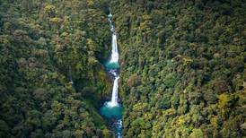 Costa Rica perdería 515 kilómetros cuadrados de bosques para el 2025