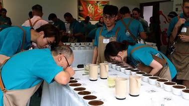 Catadores de nueve países escogen a café de Tarrazú como el mejor de Costa Rica