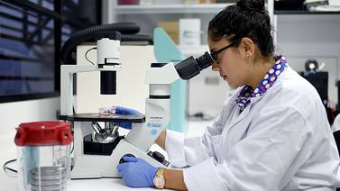 UCR estudia agresividad de bacteria ligada al cáncer gástrico