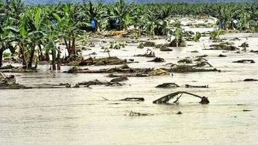 Agro perdió  ¢20.000 millones por inundaciones en el Caribe