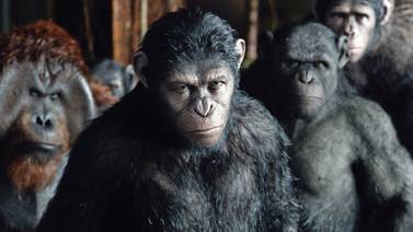  <em>El planeta de los simios: Confrontación</em>   se guinda en la cima de la taquilla 