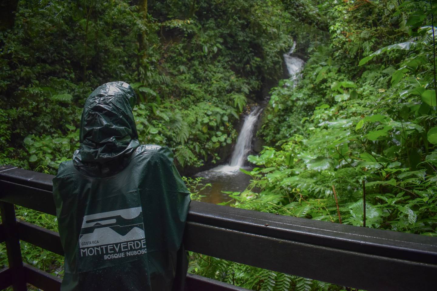 El bosque nuboso de Monteverde puede tener gran cantidad de lluvia y viento dependiendo de la época, por lo que se recomienda portar vestimenta cómoda
