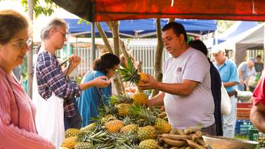 Nueva feria orgánica funcionará a partir del 13 de setiembre en Zapote