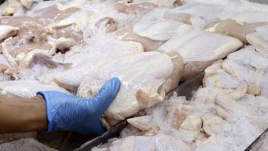 Consumo de carne de cerdo aumentó en 2023, pollo y res se mantuvieron sin cambios