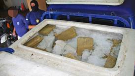 Chofer ocultó droga en hieleras para mariscos