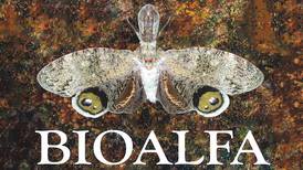 Iniciativa BioAlfa motiva a los costarricenses a convertirse en ‘investigadores de las especies’
