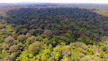 Científico tico: 'Costa Rica cuida su biodiversidad pero también debe velar por la conservación fuera de las áreas protegidas'