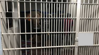 Ministerio de Salud inspecciona cárceles del OIJ en San José por custodio positivo con covid-19