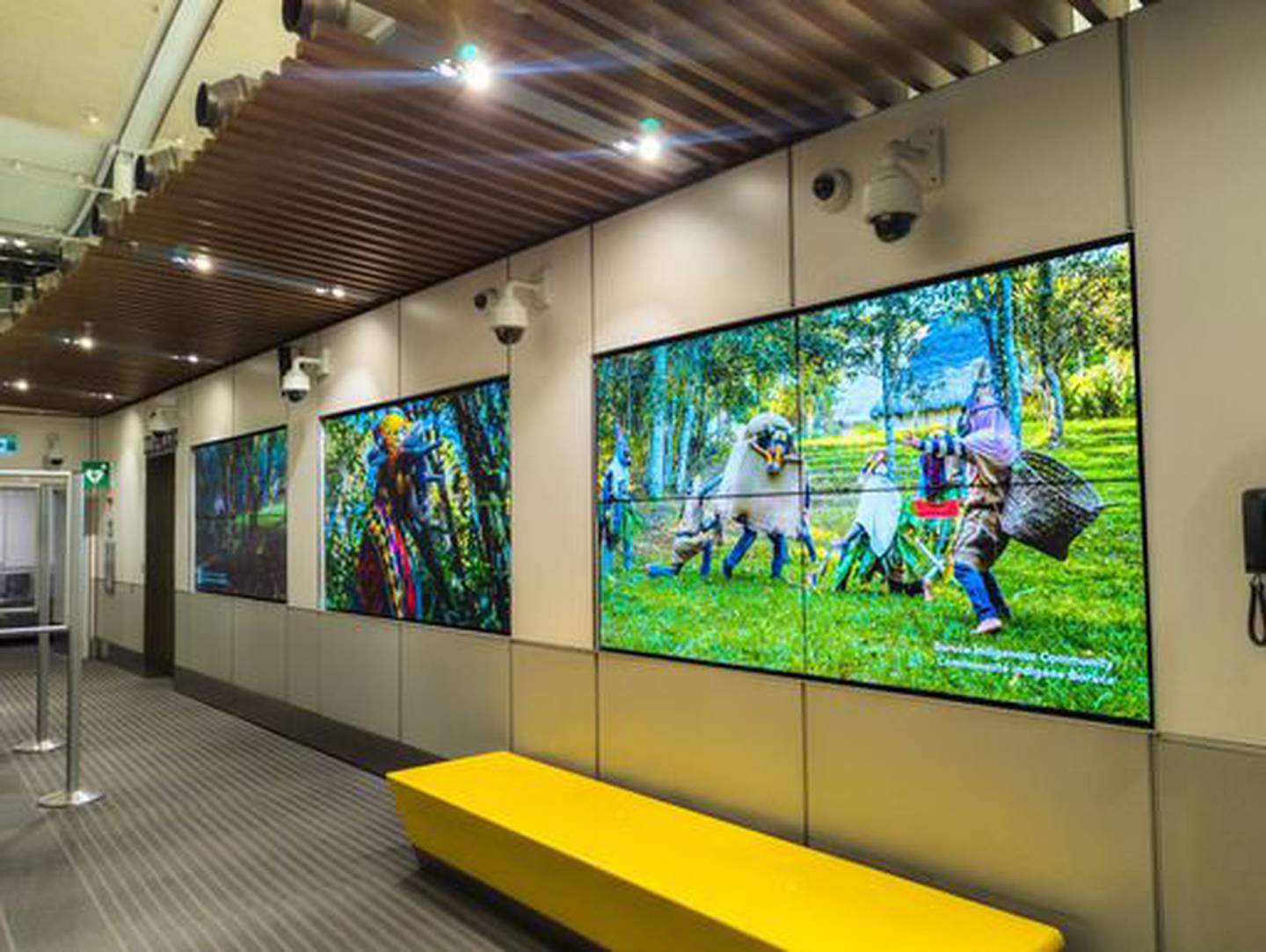 todos los pasajeros y turistas que ingresen a Canadá por el Aeropuerto Toronto Pearson podrán deleitarse con la instalación de arte  “Take Your Seat”, mientras ven biodiversidad y los atractivos turísticos de Costa Rica en muestra de fotografías. Toronto.