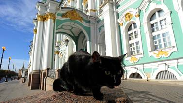Los gatos: guardianes del Ermitage y sus obras de arte 