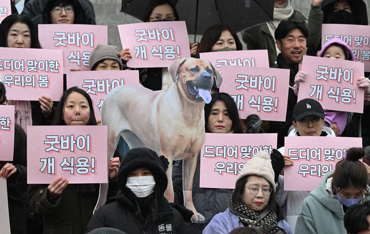 Activistas por los derechos de los animales sostienen carteles que dicen "¡Adiós carne de perro!" durante una manifestación para dar la bienvenida a un proyecto de ley que prohíbe el comercio de carne de perro en la Asamblea Nacional.
