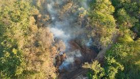 627 incendios en vegetación inquietan a Bomberos al inicio de año de sequía