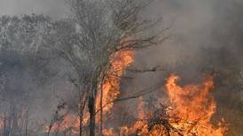 Incendios provocados devastan reservas ecológicas en Bolivia