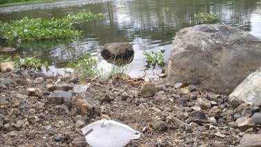 Cocodrilos mutilaron  a  hombre en río Tempisque