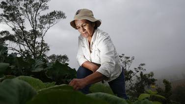 Costa Rica busca ser climáticamente inteligente en su agricultura