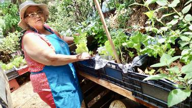Del agobio del botadero de Río Azul al oasis de su propia huerta: la historia de doña Jeannethe