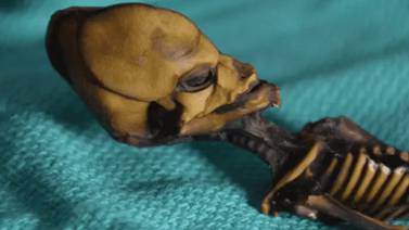 Secretos de la ‘momia extraterrestre’ hallada en el desierto de Chile