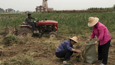  Reforma agraria da derechos en China, pero no propiedad