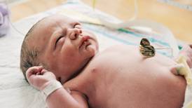Cesáreas programadas duplican riesgo de padecer mal respiratorio en recién nacidos