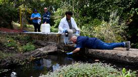 Xilenos: ¿qué se sabe de nuevo en la investigación de la UCR sobre agua contaminada?