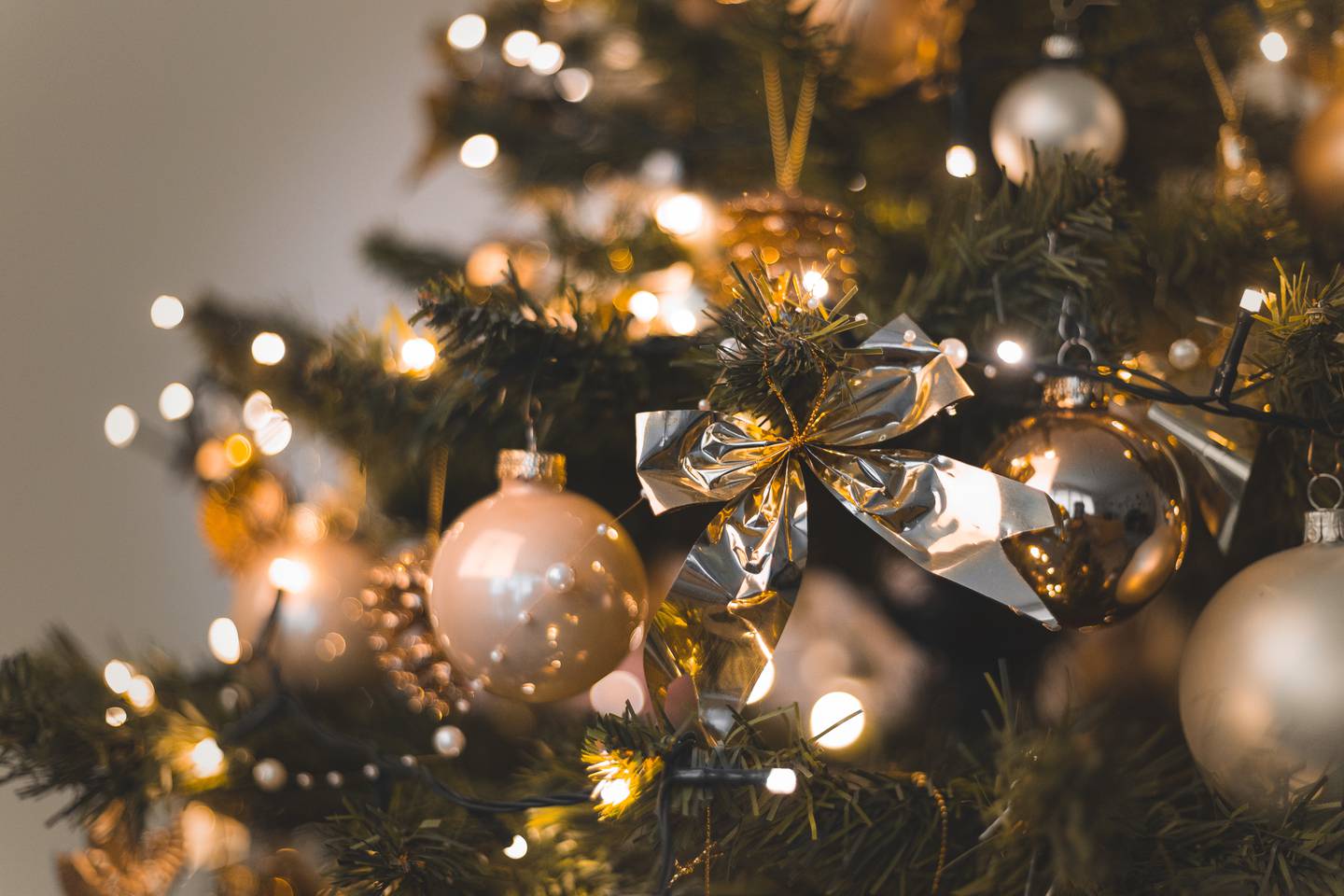 El Explicador - Qué hacer con árbol de Navidad - Origen de los árboles de Navidad
