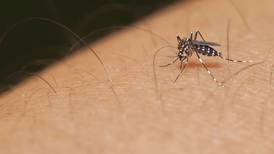 Primera vacuna contra el dengue  ya es una realidad